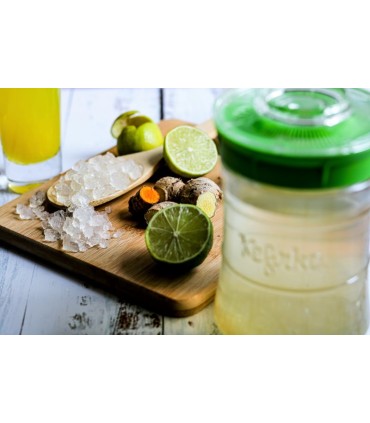 Kefirko Waterkefir Starter – 5 g | Levende waterkefirkorrels