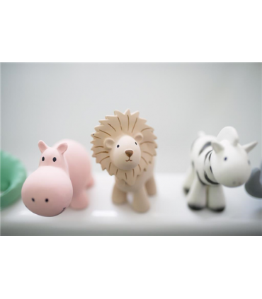 My First Zoo Animals - Lion