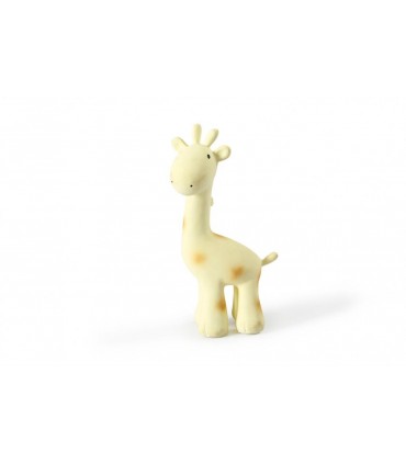 My First Zoo Animals - Set of 12